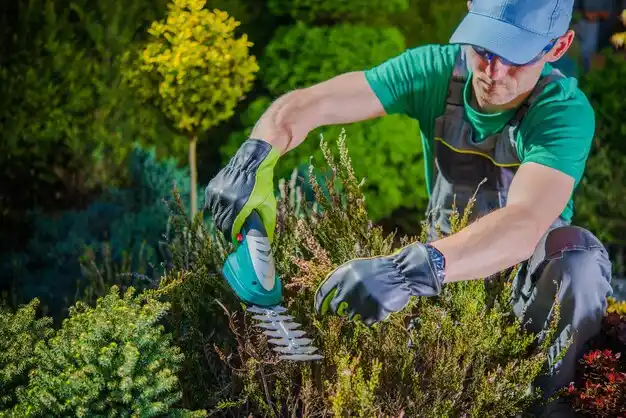 landscaping services Bohemia